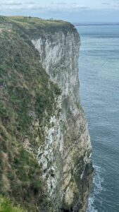 RSPB Bempton Cliffs 6